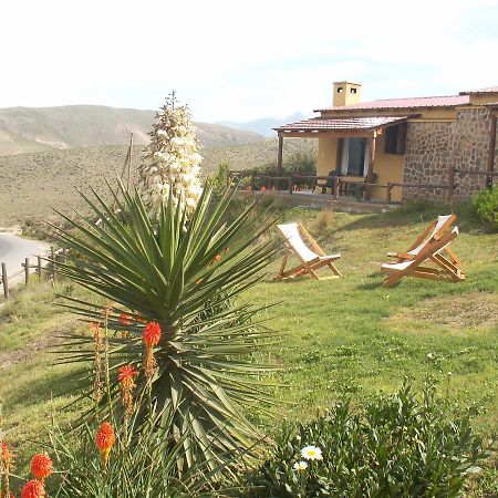 Cabanas Balcones De Tafi Tafi del Valle Ngoại thất bức ảnh